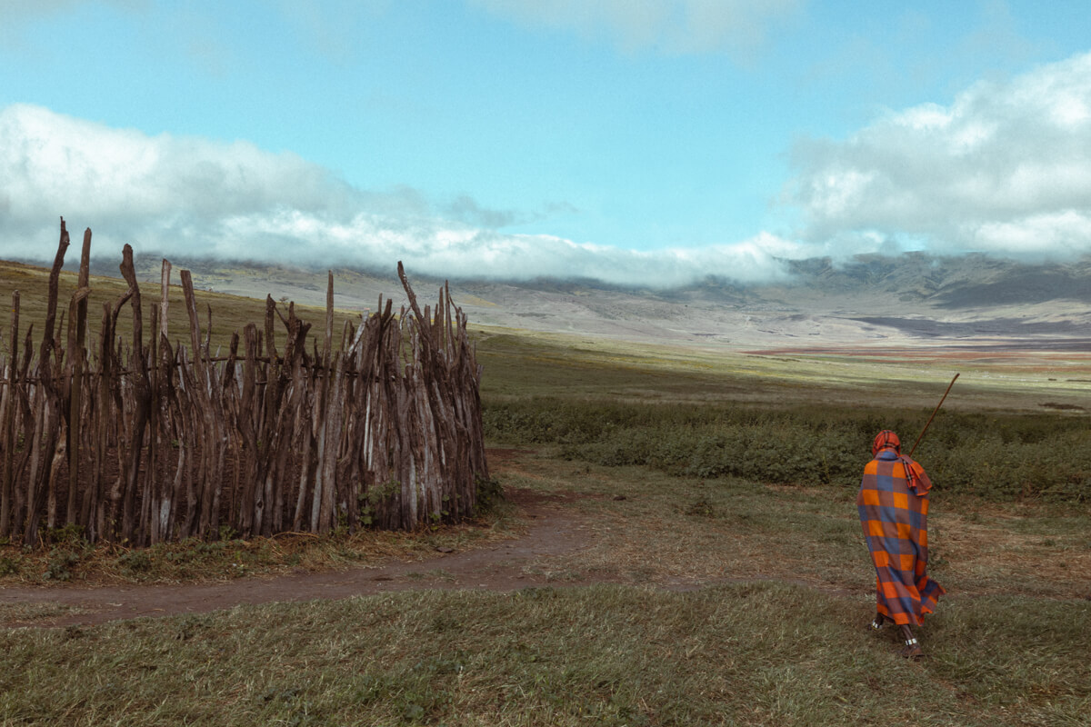 Maasai shepherd in Ngorongoro Conservation Area. Ekaterina Juskowski, 2023.